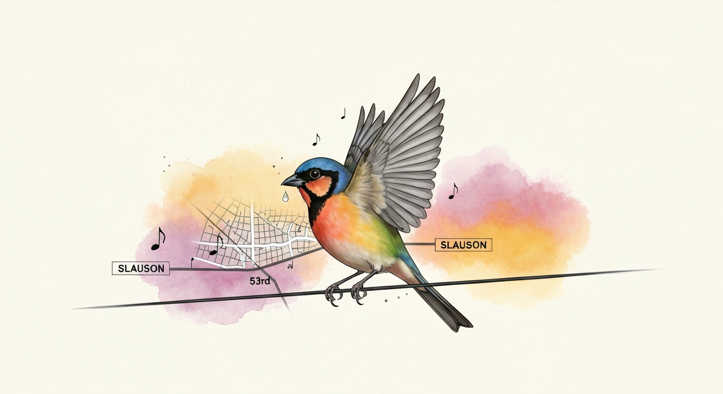 Dreamy watercolor illustration of a small colorful bird with a single tear, wings slightly open, over a subtle stylized map labeled Slauson and 53rd, with soft musical motifs — tender, hopeful mood.