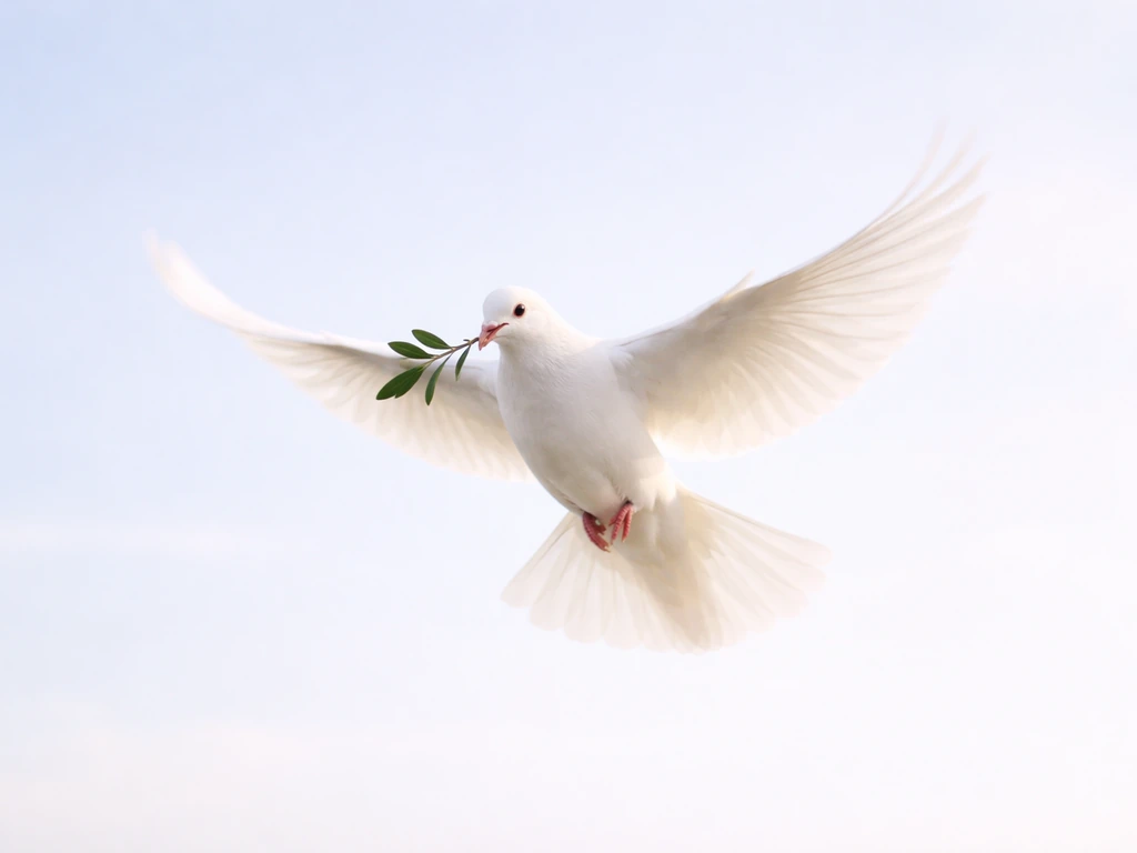 bird of peace meaning